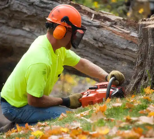 tree services Leesburg